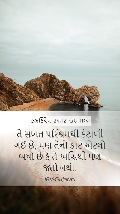 હઝકિયેલ 24:12 GUJIRV Bible Verse Image