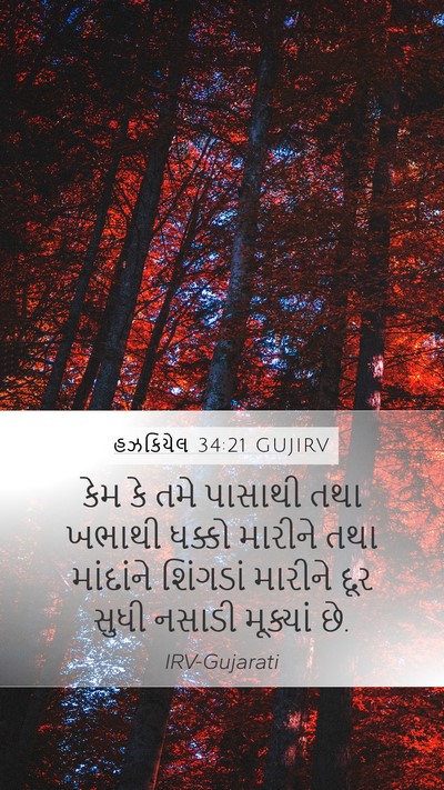 હઝકિયેલ 34:21 GUJIRV Mobile Phone Wallpaper - કેમ કે તમે પાસાથી - Mobile Bible Verse Wallpaper