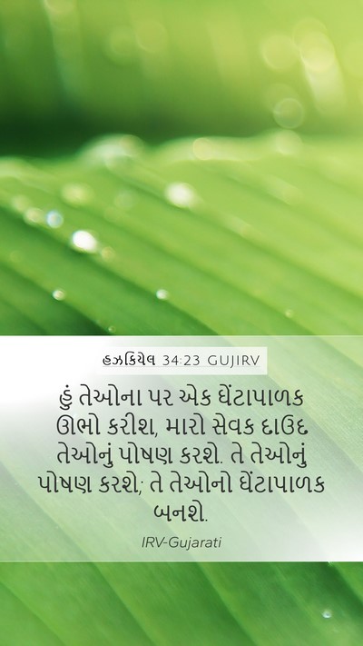 હઝકિયેલ 34:23 GUJIRV Bible Verse Image