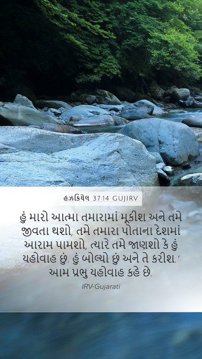 હઝકિયેલ 37:14 GUJIRV Bible Verse Image