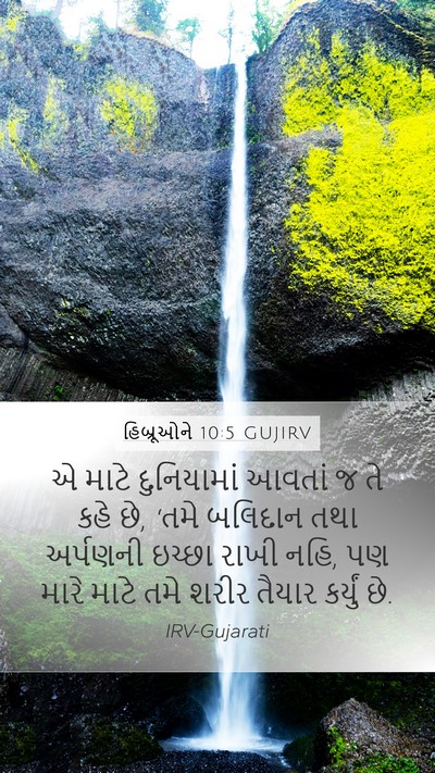 હિબ્રૂઓને 10:5 GUJIRV Bible Verse Image