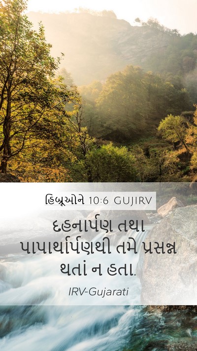 હિબ્રૂઓને 10:6 GUJIRV Bible Verse Image