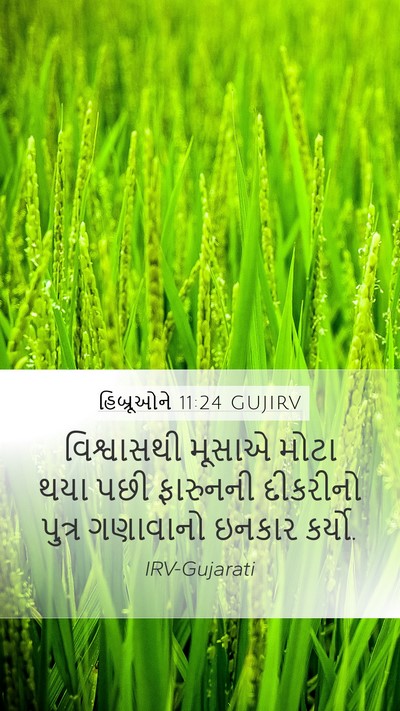 હિબ્રૂઓને 11:24 GUJIRV Bible Verse Image
