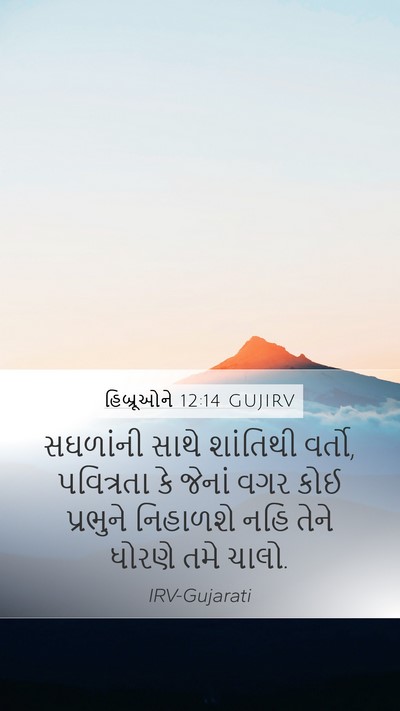 હિબ્રૂઓને 12:14 GUJIRV Bible Verse Image