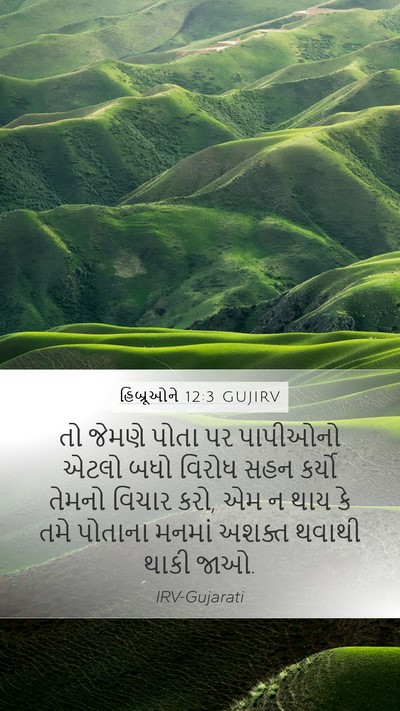 હિબ્રૂઓને 12:3 GUJIRV Bible Verse Image