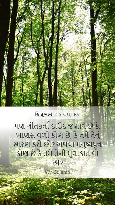 હિબ્રૂઓને 2:6 GUJIRV Bible Verse Image