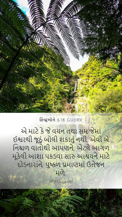 હિબ્રૂઓને 6:18 GUJIRV Bible Verse Image
