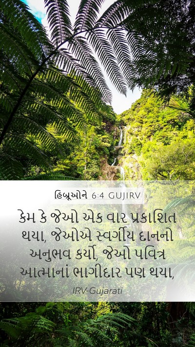 હિબ્રૂઓને 6:4 GUJIRV Bible Verse Image