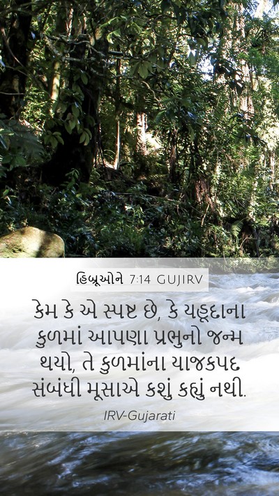 હિબ્રૂઓને 7:14 GUJIRV Bible Verse Image