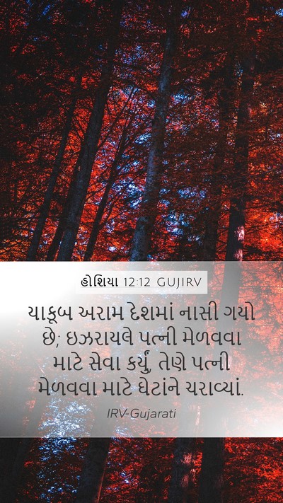 હોશિયા 12:12 GUJIRV Bible Verse Image