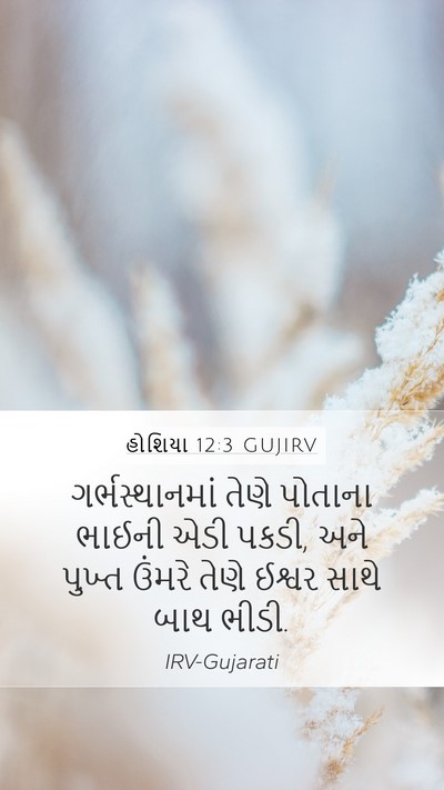 હોશિયા 12:3 GUJIRV Bible Verse Image