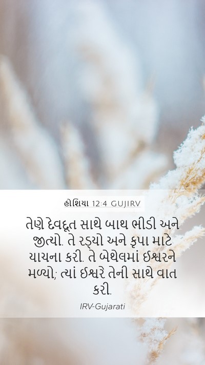 હોશિયા 12:4 GUJIRV Bible Verse Image