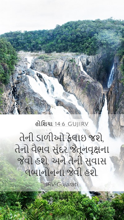 હોશિયા 14:6 GUJIRV Bible Verse Image