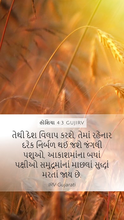હોશિયા 4:3 GUJIRV Bible Verse Image