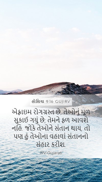 હોશિયા 9:16 GUJIRV Bible Verse Image